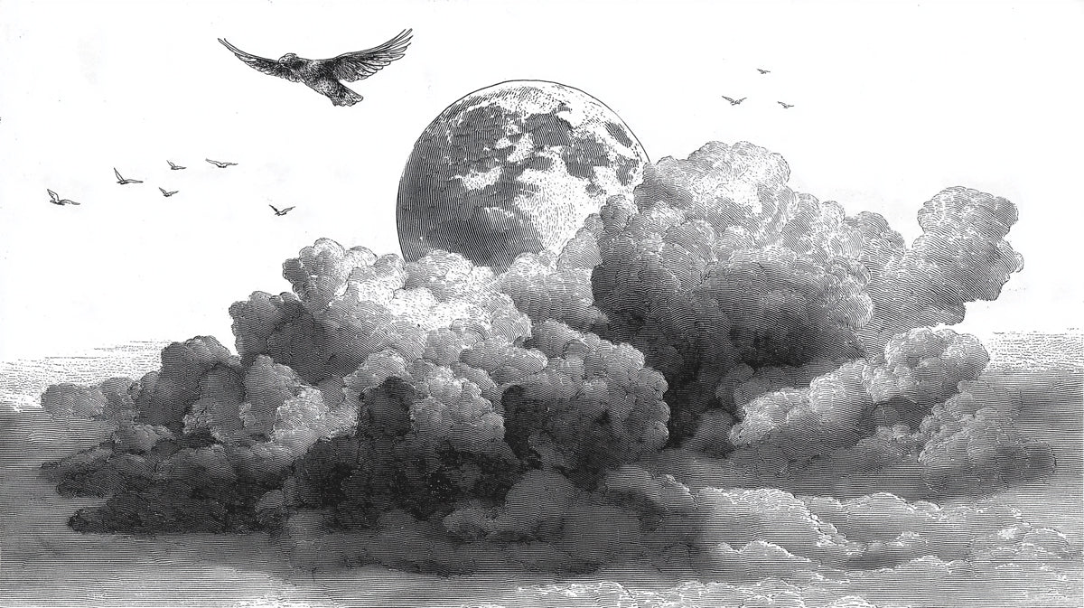 Vintage etching style wallpaper pattern featuring a large full moon, dark clouds, and a flying bird in monochrome charcoal and white