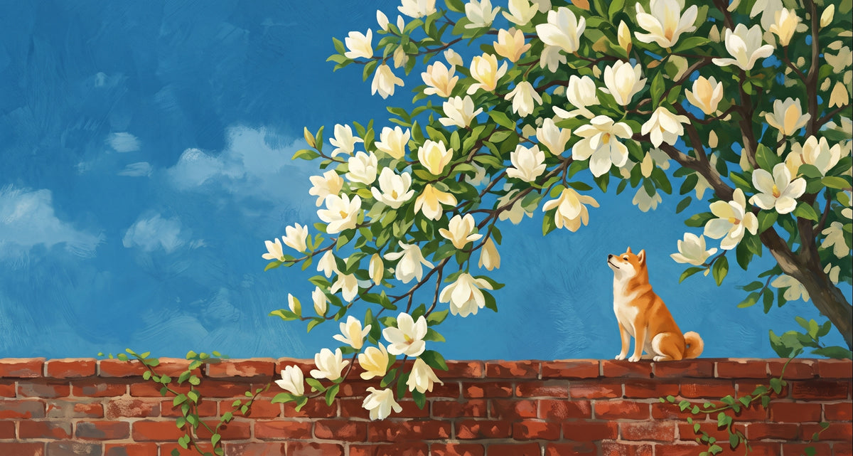 Painting of a Shiba Inu sitting on a brick wall beneath a flowering magnolia tree against a blue sky