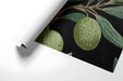 Sophisticated home office wall mural featuring detailed green botanical art