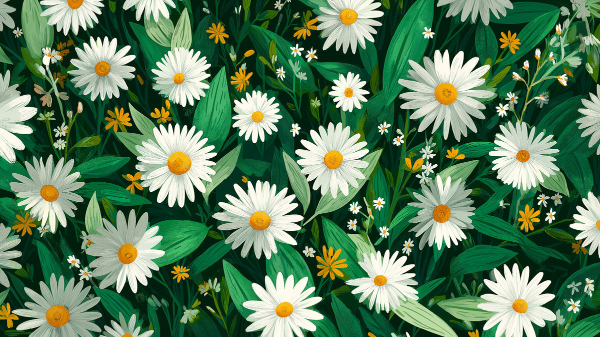 A repeating pattern of white daisies with yellow centers and green leaves on a dark forest green background.