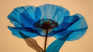 Macro photograph of a vibrant blue poppy flower with translucent petals against a soft beige background.