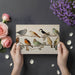 Nature-themed bedroom wall mural with colorful songbirds and soft botanical branches