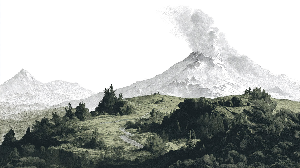 Etched style volcanic landscape wallpaper with a smoking mountain in charcoal and forest green on white.
