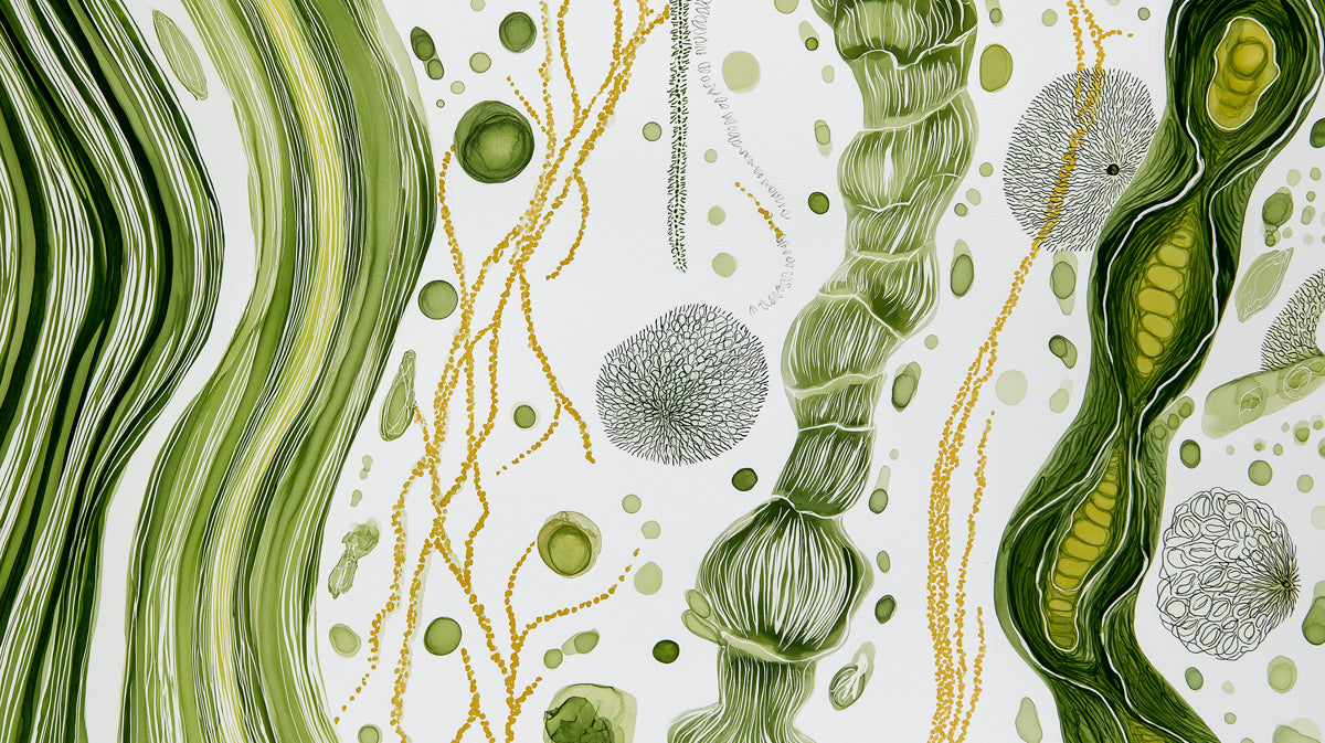 Abstract botanical wallpaper pattern with green ink washes, ochre accents, and intricate charcoal line drawings