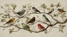Botanical mural wallpaper featuring colorful songbirds perched on sketched branches against a cream background.