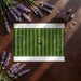 Sporty games room featuring a grass-patterned soccer field wall mural