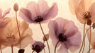 Abstract floral pattern of translucent poppy flowers in dusty rose and ochre yellow shades.