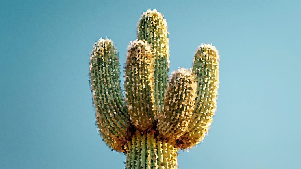 Close up of a cactus mosaic mural with fractured shapes in ochre yellow, sage green, and sky blue.