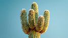 Close up of a cactus mosaic mural with fractured shapes in ochre yellow, sage green, and sky blue.