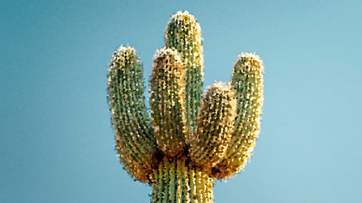 Close up of a cactus mosaic mural with fractured shapes in ochre yellow, sage green, and sky blue.
