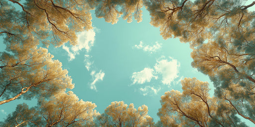 A low-angle view of golden autumn tree branches framing a bright turquoise sky with white clouds.