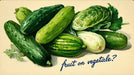 A vintage-style illustration of fresh green cucumbers on a cream background with handwritten script text