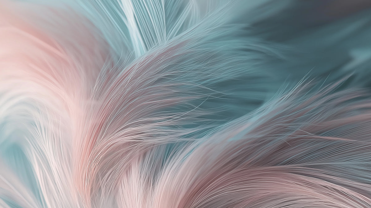 Macro close up of delicate teal and blush pink feather plumes with soft focus edges