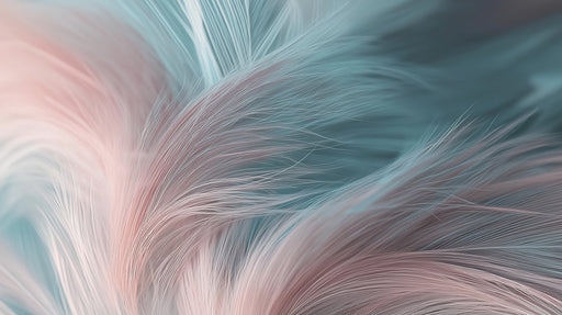 Macro close up of delicate teal and blush pink feather plumes with soft focus edges