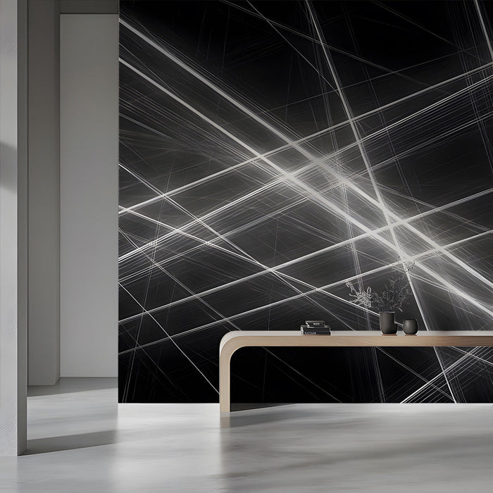 Contemporary reception wall decorated with a sharp white and charcoal abstract ray mural