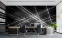 Modern office wall featuring a striking monochrome line mural design