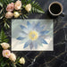 Minimalist sunroom space with a large lotus floral mural as a peaceful artistic accent wall