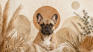 A French Bulldog centered in front of a large ochre sun, surrounded by dried pampas and eucalyptus leaves in a boho style.