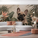 A bright living room decorated with the French bulldog botanical wallpaper on a feature wall.