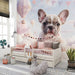 French bulldog and hot air balloon mural installed in a dreamy nursery with soft lighting