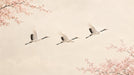 Three white cranes flying across a cream background with pink cherry blossom branches in corners