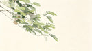 A watercolor illustration of a delicate green fern branch on a soft cream background.