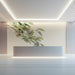 The fern branch wallpaper in a sunlit reception, paired with natural wood furniture.
