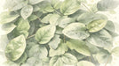 Watercolor foliage pattern with sage and forest green leaves covered in dew drops on cream background