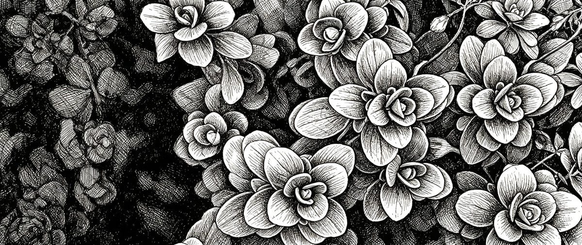 Close up of black and white botanical ink sketch wallpaper with floral cross-hatching