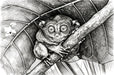 Intricate charcoal ink illustration of a tarsier perched on a branch beneath large tropical leaves.
