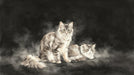 Watercolor painting style mural featuring two Maine Coon cats on a dark, charcoal-colored atmospheric background.