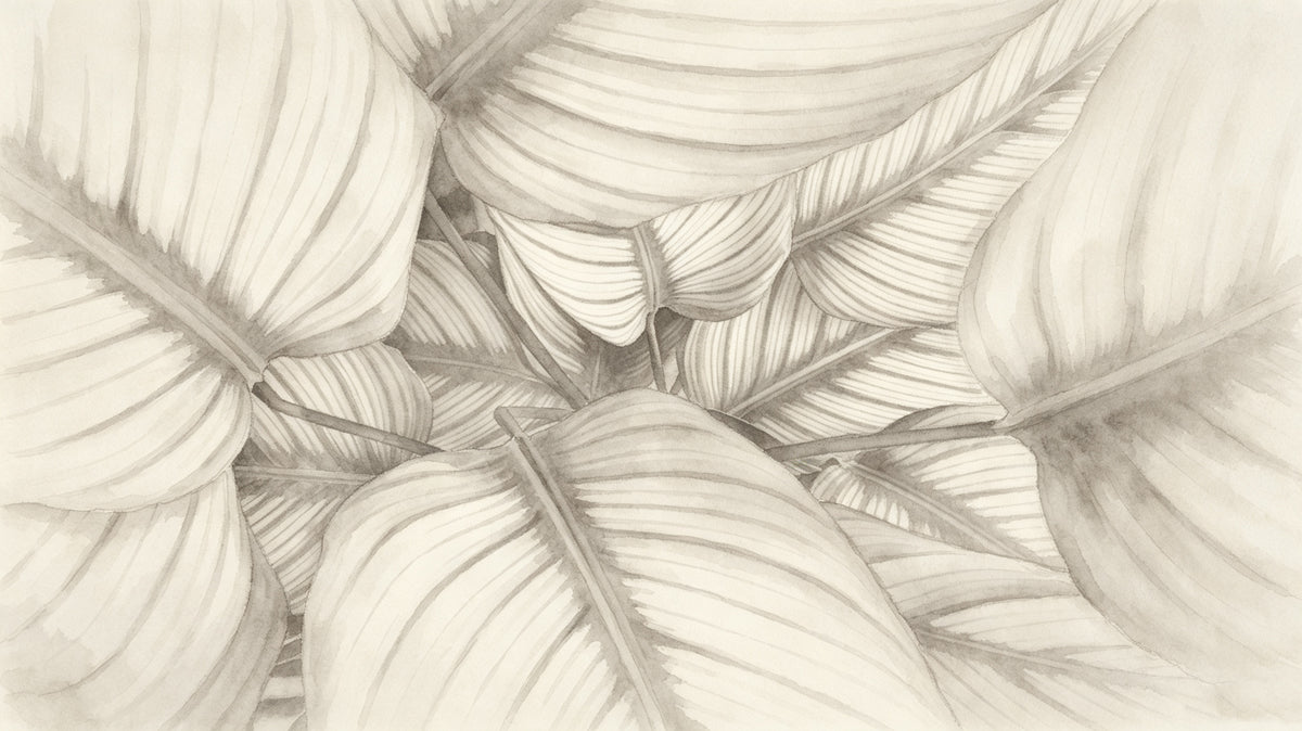 Close up of monochrome ink wash botanical leaves in shades of taupe and charcoal gray.