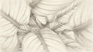 Close up of monochrome ink wash botanical leaves in shades of taupe and charcoal gray.
