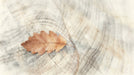 A soft watercolor mural featuring a single detailed amber oak leaf with dew drops resting on a pale wood grain background.