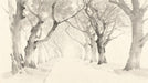Sumi-e style ink wash wallpaper mural featuring a misty forest path with charcoal tree trunks.