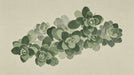 Watercolor succulent pattern in shades of sage and forest green on an oatmeal background