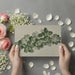 Soft green succulent wall art featured in a modern home office space