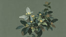 A botanical mural wallpaper design featuring layered dark green foliage and small ochre yellow flower clusters on a sage background.