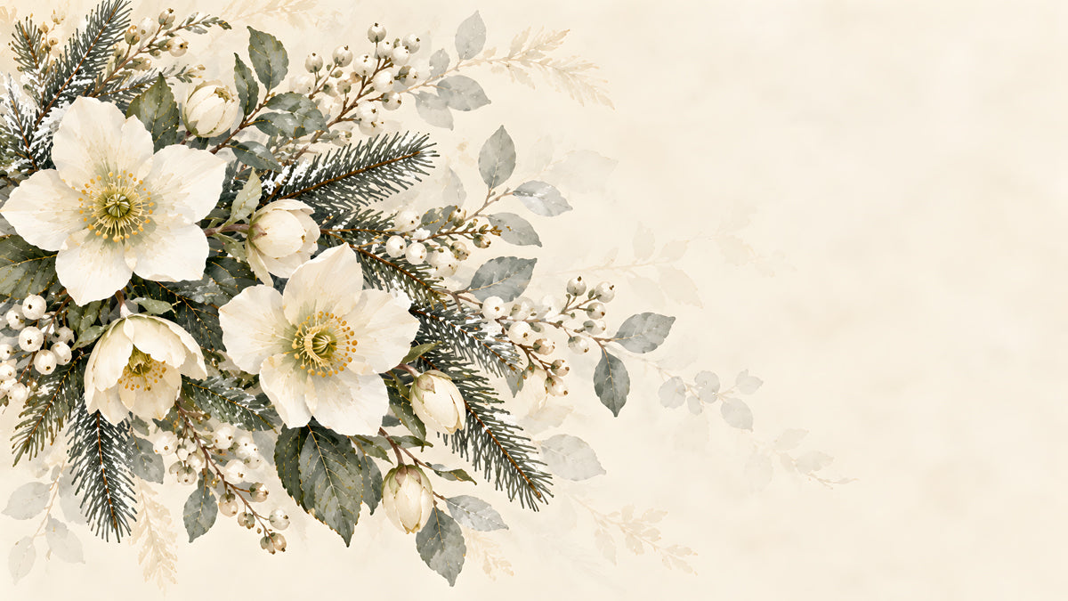 Floral mural with white hellebore flowers, sage green fir needles, and white berries on a cream background.