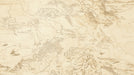 Vintage Geographical Map Mural Wallpaper | Beige and Brown in Seating Area