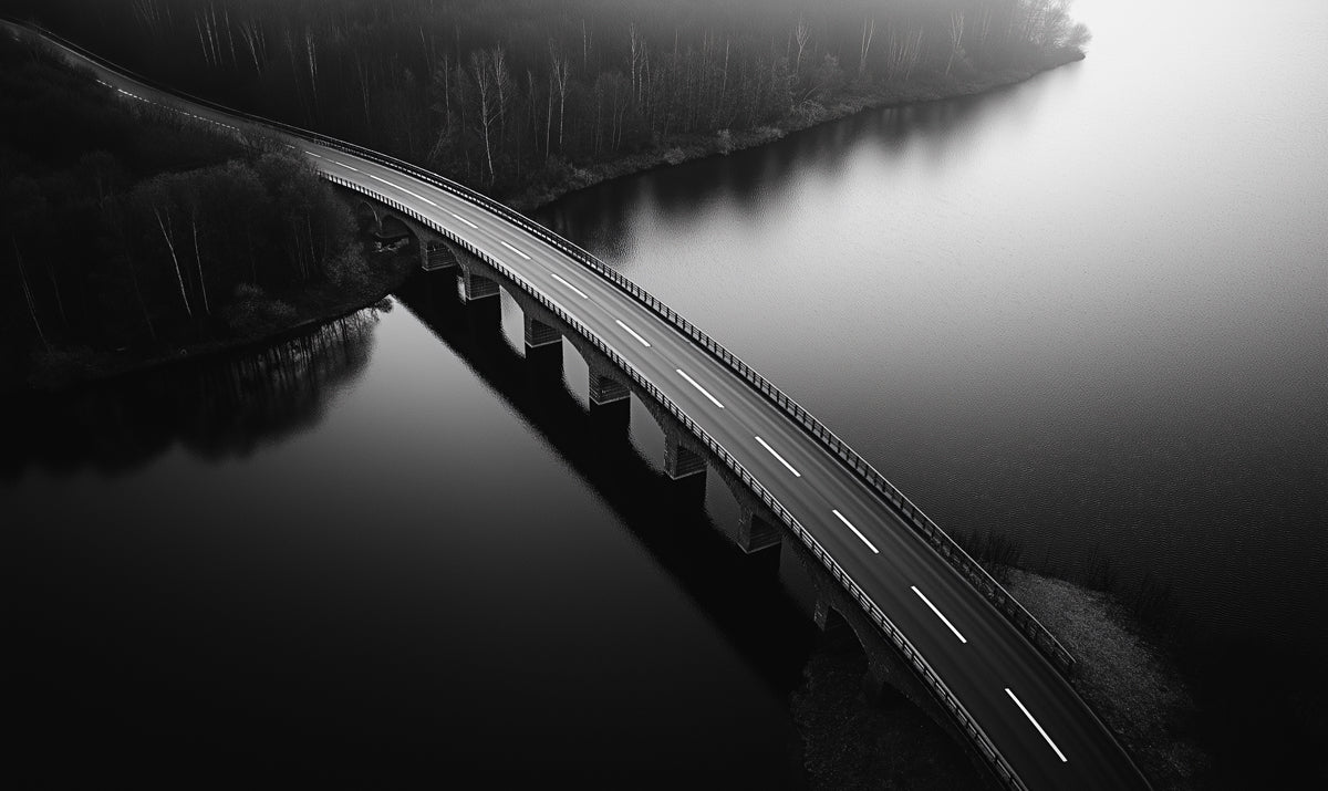 Black-and-White Bridge Over Water Mural Wallpaper | Modern Dramatic Decoration