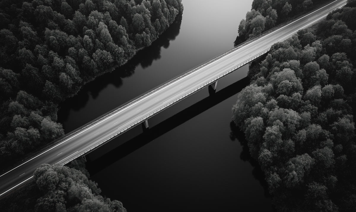 Black-and-White Bridge Over Water Mural Wallpaper | Modern Dramatic Decoration