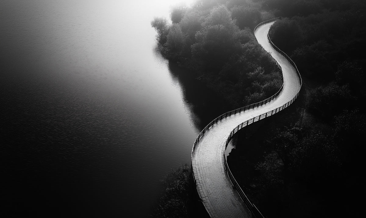 Curving Road in Forest Mural Wallpaper | Elegant Modern Decoration