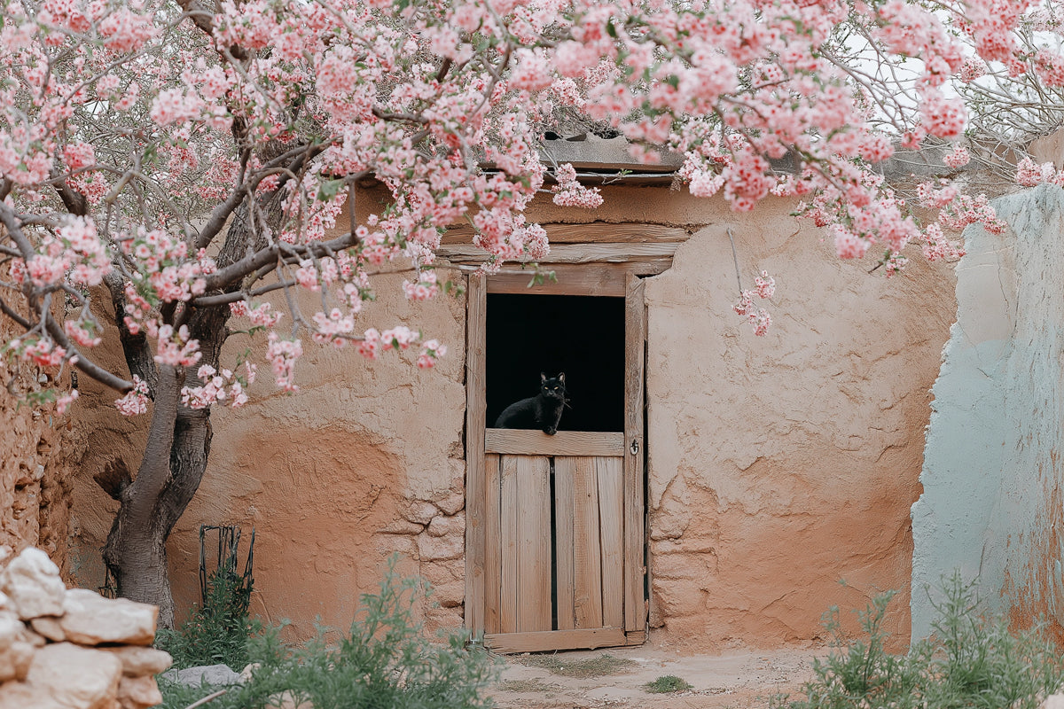 Cherry Blossom Cottage Mural Wallpaper | Romantic Natural Decoration