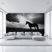 Black - and - White Horse Silhouette Mural Wallpaper | Bold Minimalist Decoration