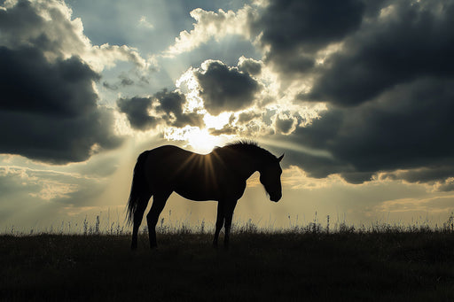 Horse with Hanging Lights Mural Wallpaper | Contemporary Bold Decoration