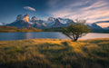Serene Tree by Lake Bedroom Mural Wallpaper | Peaceful Natural Decoration