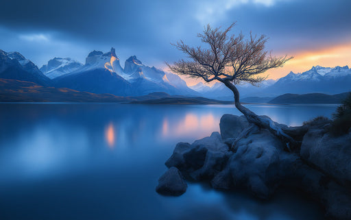 Mystical Tree by Reflective Lake Mural Wallpaper | Enchanted Serene Decoration