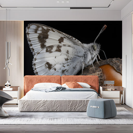 Colorful Butterfly on Fruit Mural Wallpaper | Vivid Eclectic Decoration