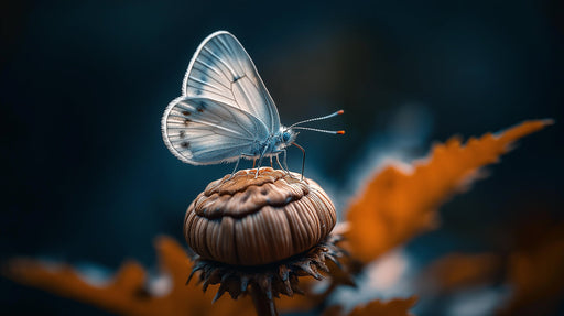 Blue Butterfly on Textured Surface Mural Wallpaper | Mystical Modern Decoration